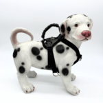 Physical Therapy Harness for Senior & Post Surgery Dog Support