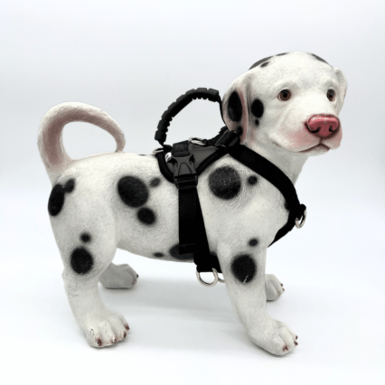 Physical Therapy Harness for Senior & Post Surgery Dog Support.