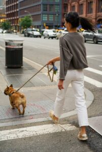 woman wearing white pants walking brown dog